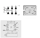 41O1lG7MyoL.webp